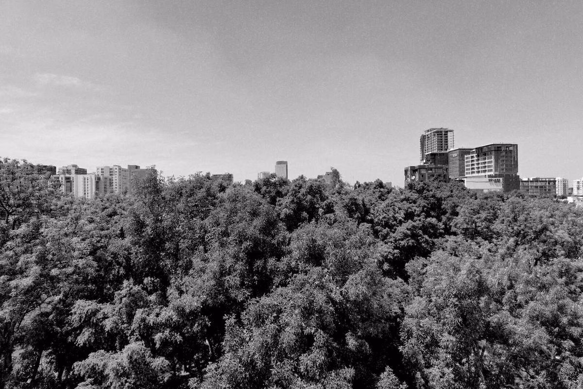 Skyline de Guadalajara